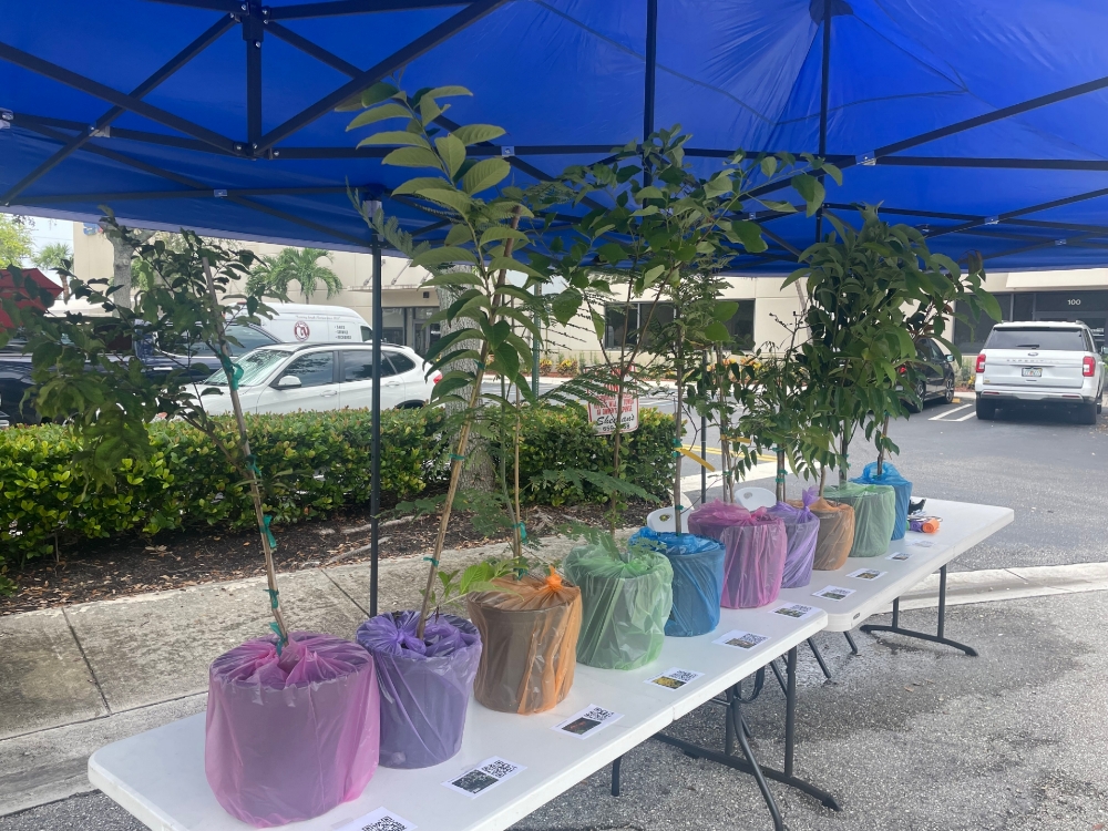 sv microwave goes green activity